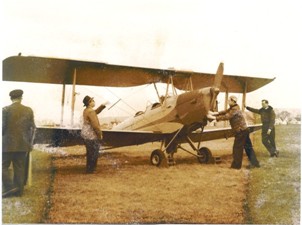 die Tiger-Moth